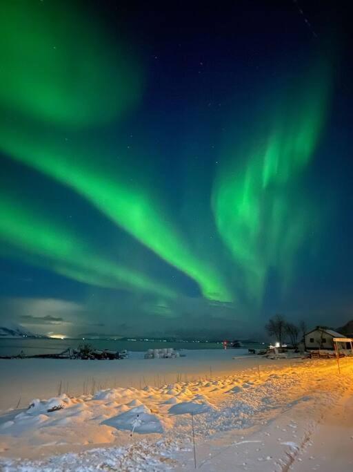 Cozy House - Stronstad @The Start Of Lofoten Stronstad i Vesteralen ภายนอก รูปภาพ