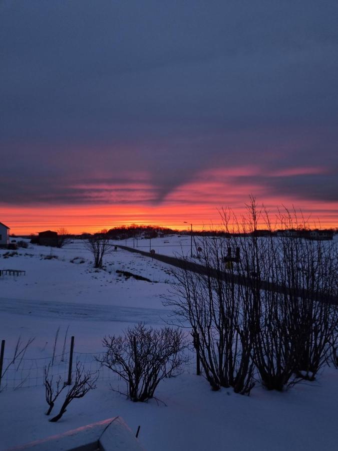 Cozy House - Stronstad @The Start Of Lofoten Stronstad i Vesteralen ภายนอก รูปภาพ