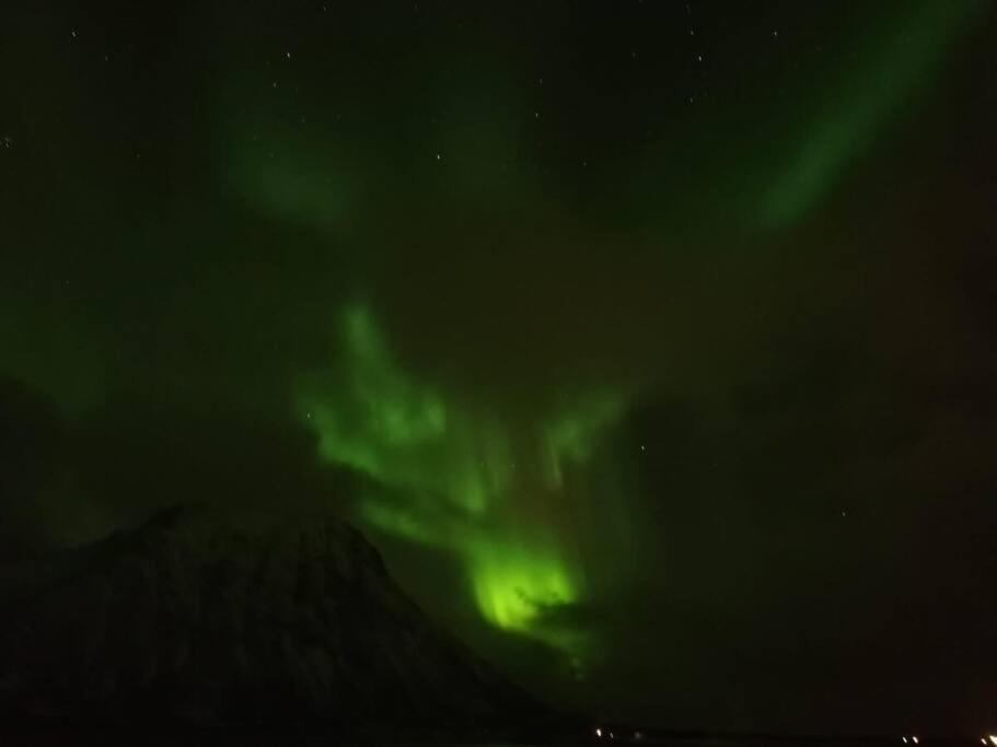 Cozy House - Stronstad @The Start Of Lofoten Stronstad i Vesteralen ภายนอก รูปภาพ
